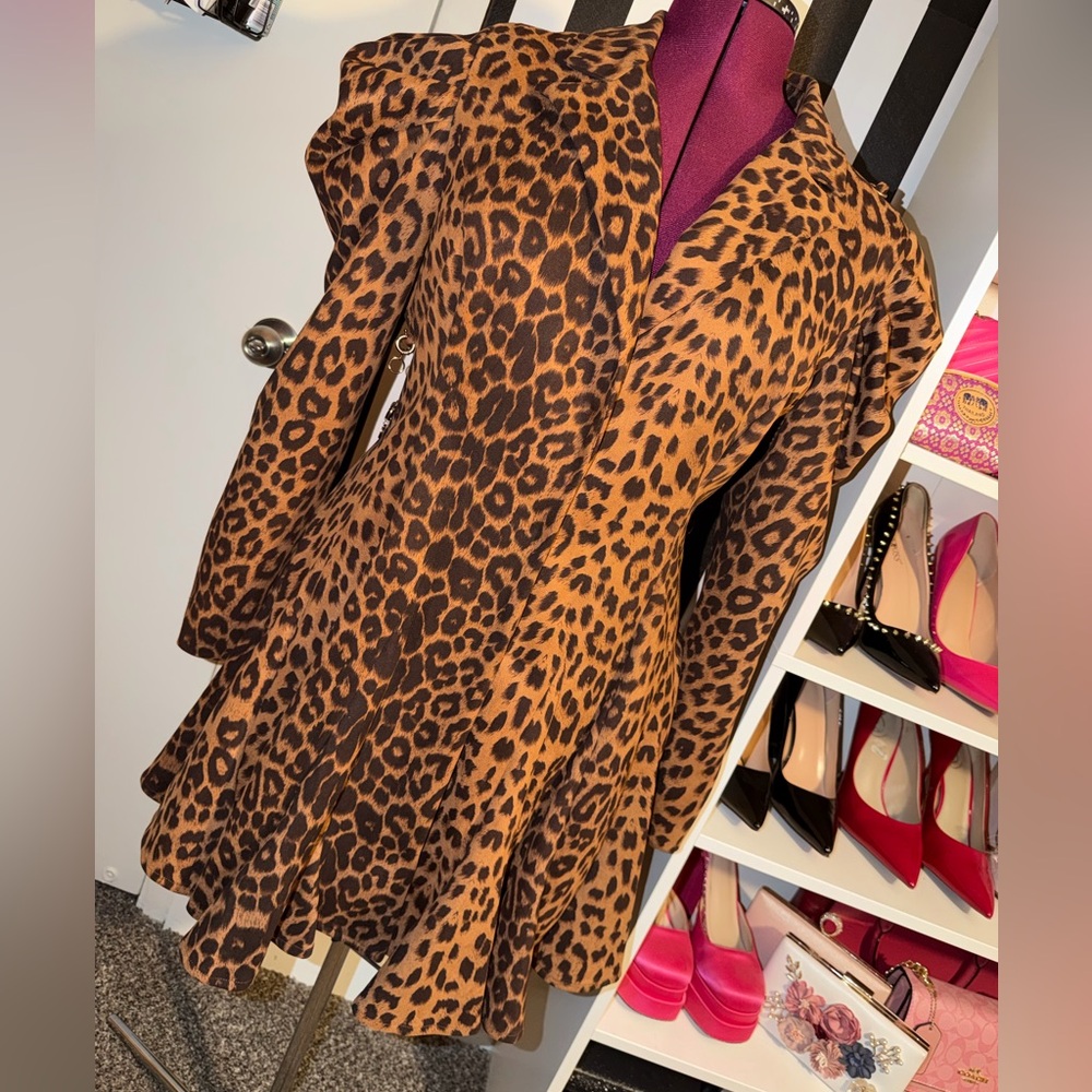 Leopard Print Mini Dress